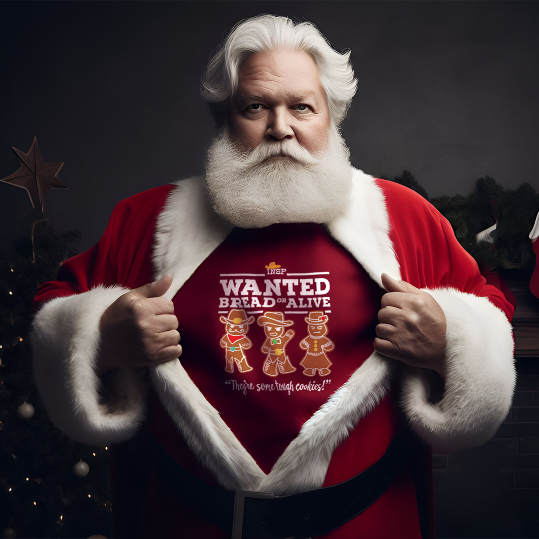 Santa Wanted Ad